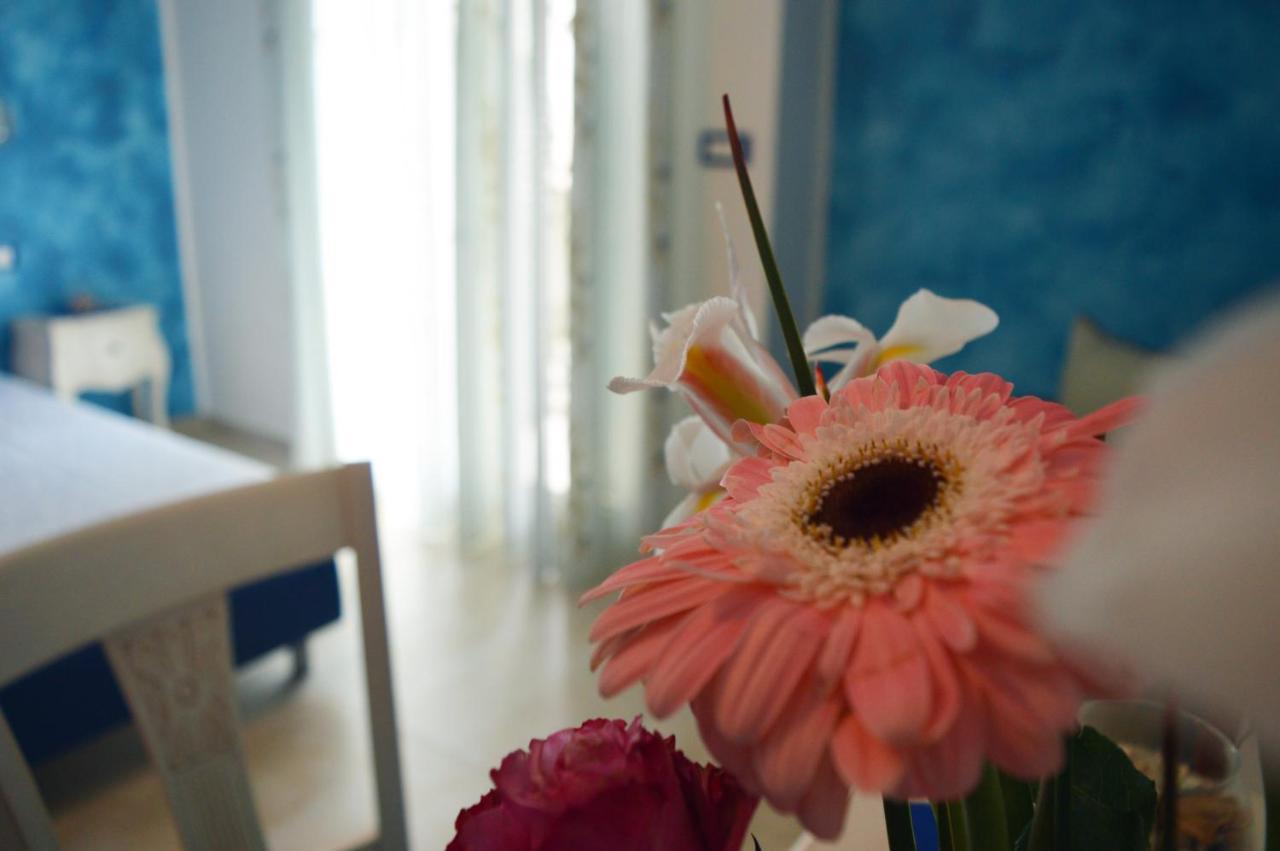 سالفي Tally B&B المظهر الخارجي الصورة